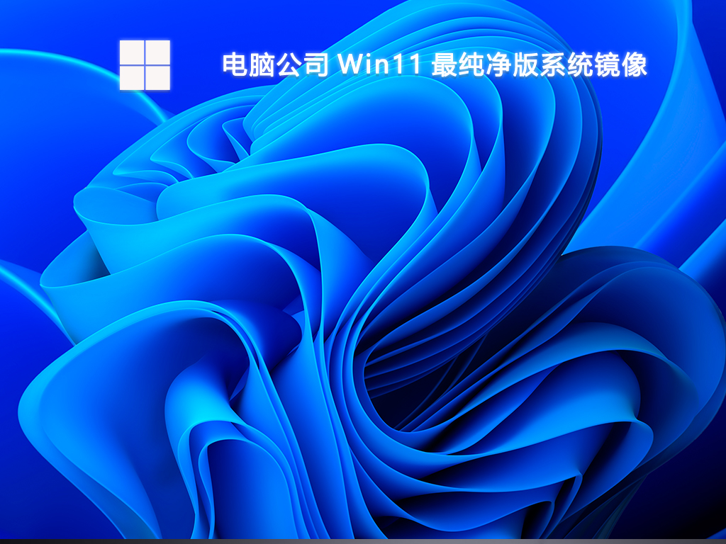 电脑公司 Win11 最纯净版系统镜像