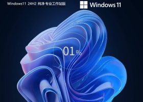 【纯净之家】Windows11 24H2 纯净专业工作站版