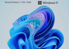 Windows11 25H2 64位 专业版 V26200.6901